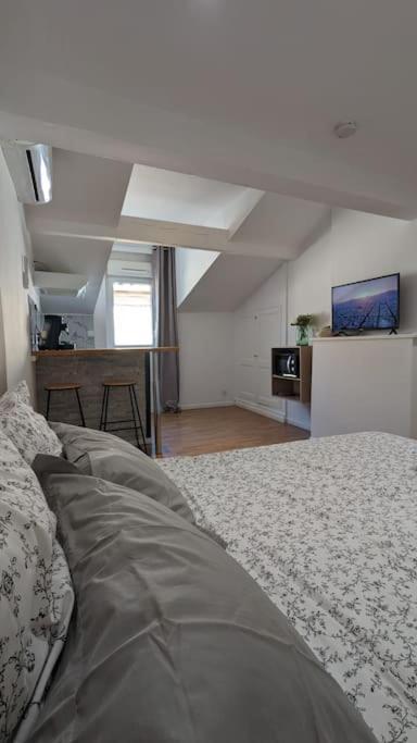 2E Grand Studio Agen Hyper Centre - Clim - Jacobins Екстер'єр фото